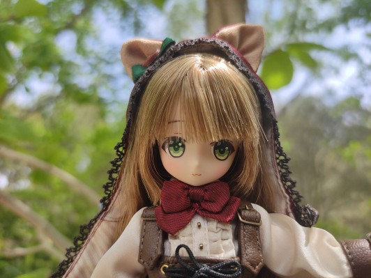 Alvastaria 裁缝师小红帽和森林狼 缇雅