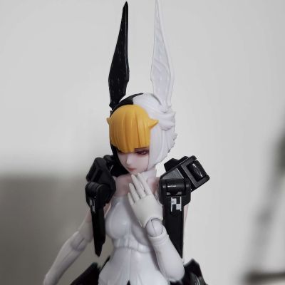 chitocerium ornatio .face 0.2.1.3.0 β