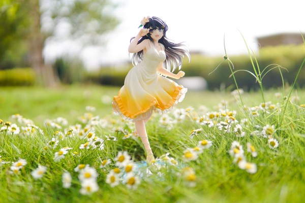 Coreful 青春猪头少年不会梦到兔女郎学姐 樱岛麻衣~夏日衣裙~（TAITO限定）