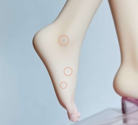 命运-冠位指定 阿比盖尔·威廉姆斯