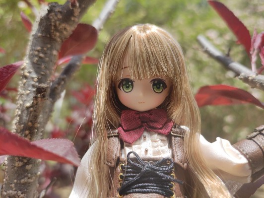 Alvastaria 裁缝师小红帽和森林狼 缇雅