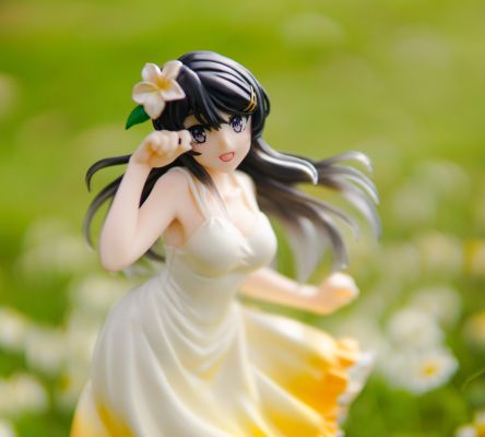 Coreful  青春猪头少年不会梦到兔女郎学姐 樱岛麻衣~夏日衣裙~