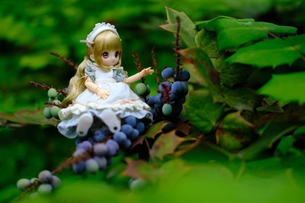 糖果杯 饼干 ～欢迎来到糖果杯仙境～ (Azone商城限定贩售 ver.)