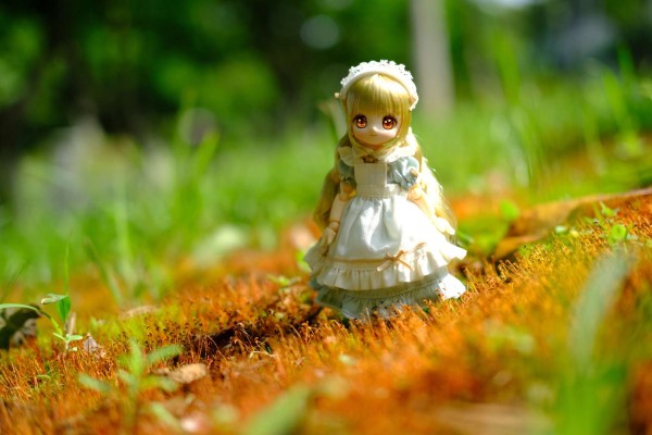 糖果杯 饼干 ～欢迎来到糖果杯仙境～ (Azone商城限定贩售 ver.)