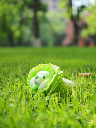 蔬菜精灵系列 盲盒