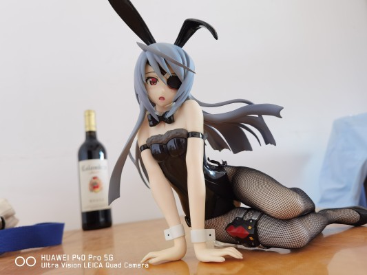 IS〈无限斯特拉托斯〉 拉芙拉 兔女郎版