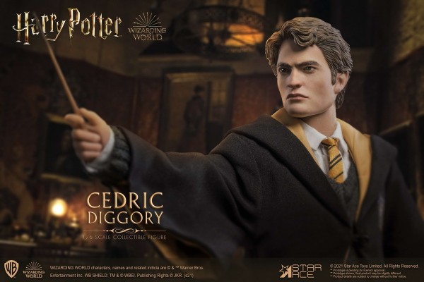 哈利·波特 塞德里克·迪戈里