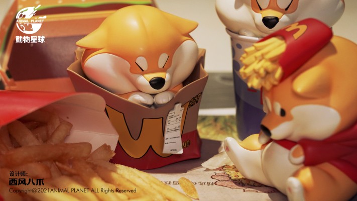 阿柴枸杞 快餐款