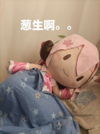 巨大软绵绵毛绒 VOCALOID 初音未来 樱花未来