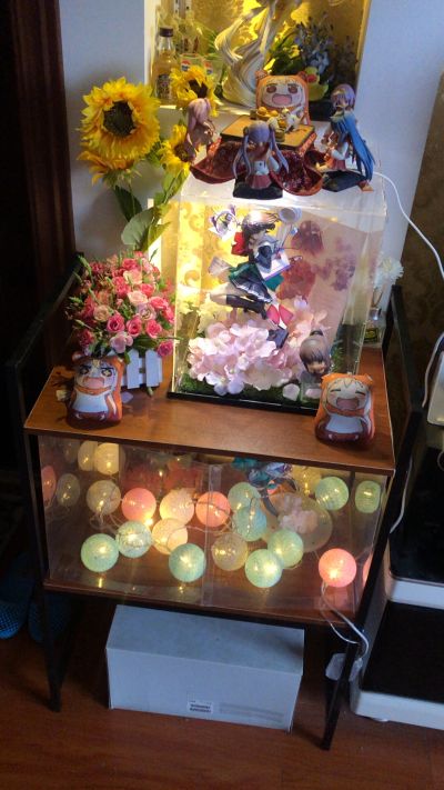 一番赏 NEWLove Plus C赏 	姐崎宁宁