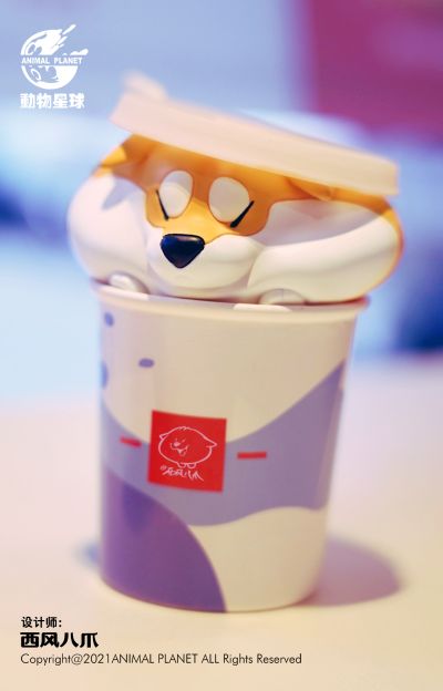 阿柴枸杞 快餐款