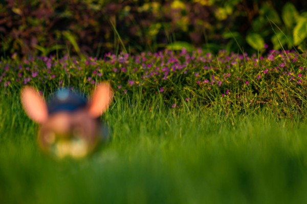 MAX系列 明日方舟 阿米娅 报童ver.