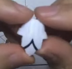 Chitocerium XCIX-albere & C-efer