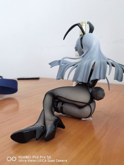 IS〈无限斯特拉托斯〉 拉芙拉 兔女郎版