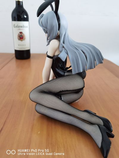 IS〈无限斯特拉托斯〉 拉芙拉 兔女郎版