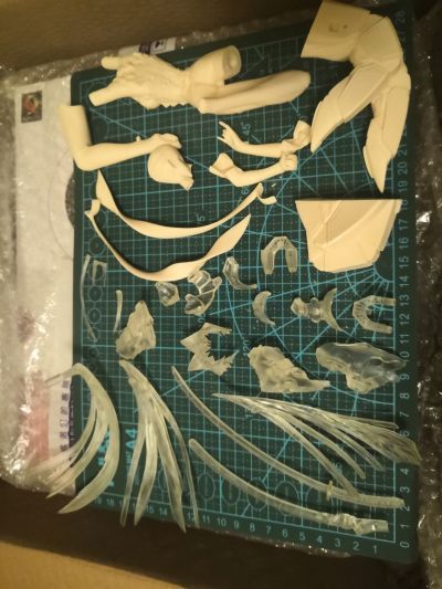 B-style Muv-Luv Alternative 御剑冥夜 兔女郎Ver.