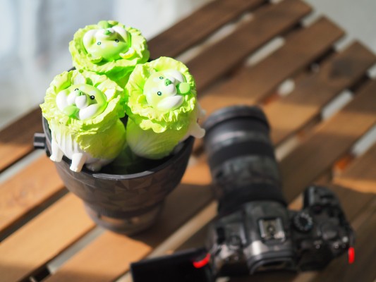 蔬菜精灵系列 盲盒