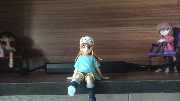 工作细胞 血小板