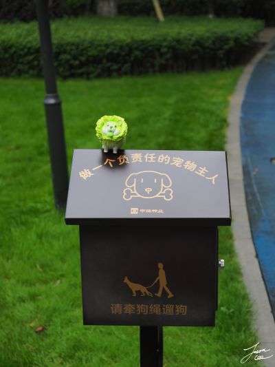 蔬菜精灵系列 盲盒