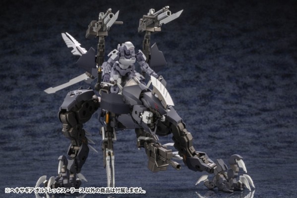 六角机牙 Voltrex Wrath