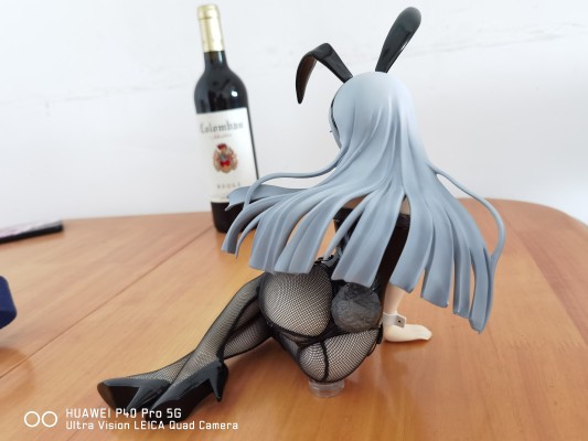 IS〈无限斯特拉托斯〉 拉芙拉 兔女郎版