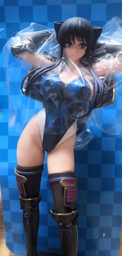 少女骑士物语 龙造寺茜 深蓝泳装＆比基尼ver.
