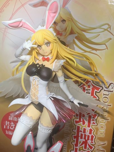 某科学的超电磁炮(Railgun) 食蜂操祈