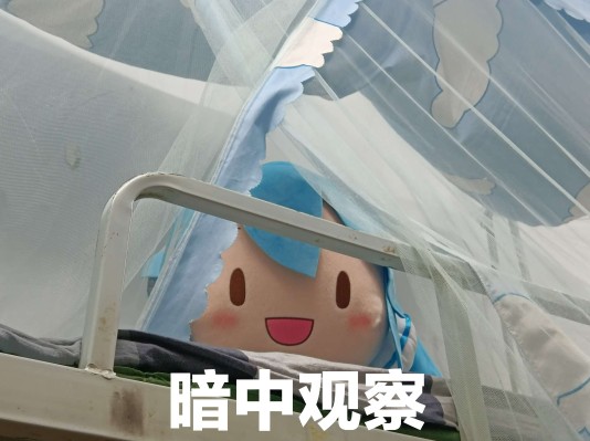 巨大软绵绵毛绒 VOCALOID 初音未来 雪未来