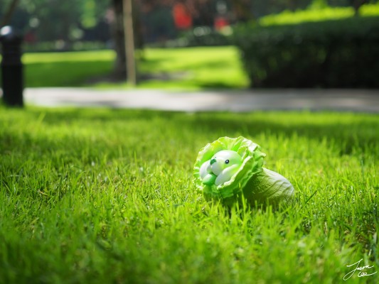 蔬菜精灵系列 盲盒