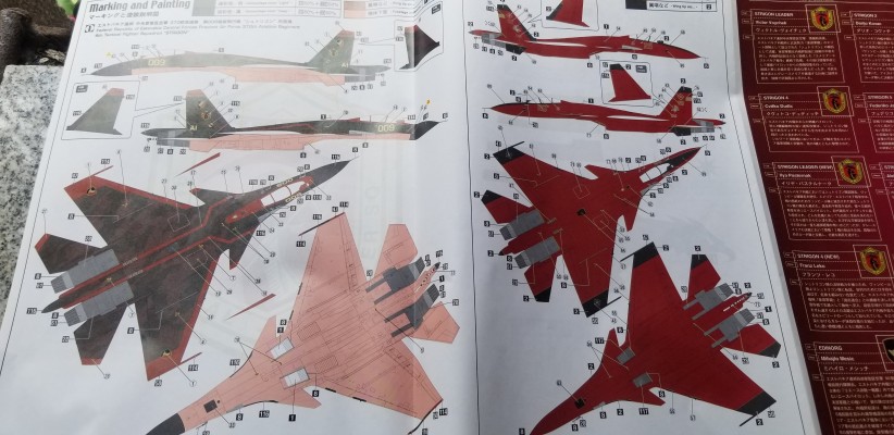 Creator Works 皇牌空战6:解放的战火 Su-33 D 侧卫