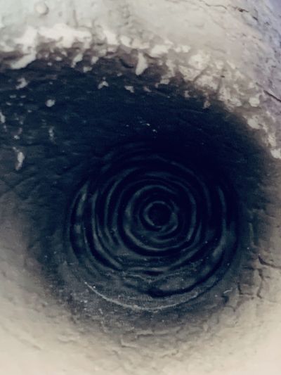 随身玩伴 Siren多罗猫