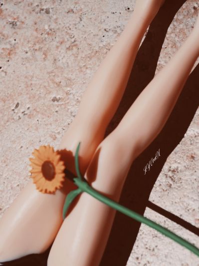 ひまわりの約束🌻