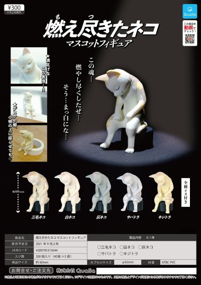 尽情燃烧自己生命后的猫猫