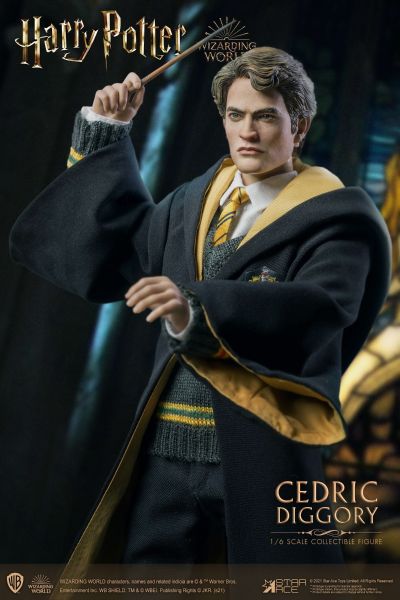 哈利·波特 塞德里克·迪戈里