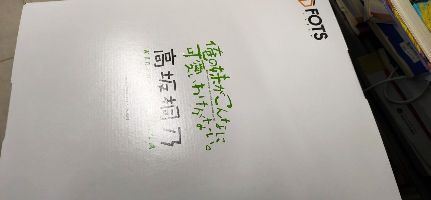 我的妹妹不可能那么可爱 高坂桐乃 女仆