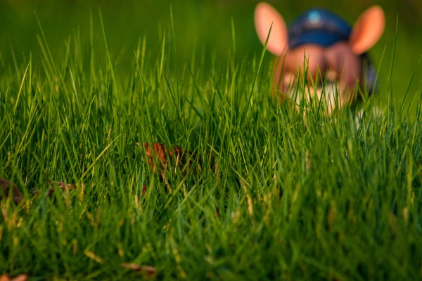 MAX系列 明日方舟 阿米娅 报童ver.