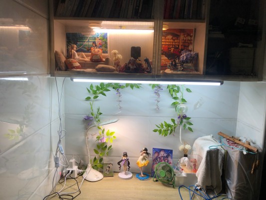 一番赏 NEWLove Plus C赏 	姐崎宁宁