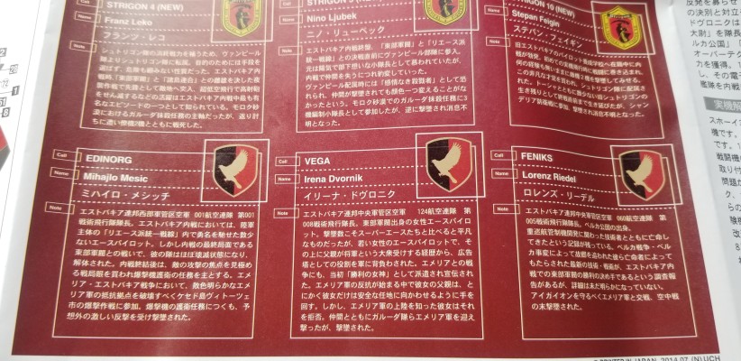 Creator Works 皇牌空战6:解放的战火 Su-33 D 侧卫