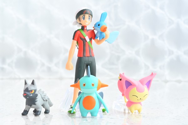 宝可梦比例世界 丰缘地区2