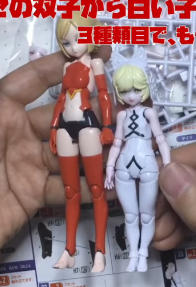 Chitocerium XCIX-albere & C-efer