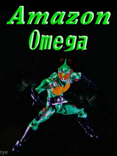 SHODO-X 假面骑士9