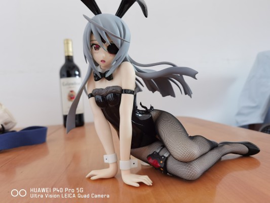 IS〈无限斯特拉托斯〉 拉芙拉 兔女郎版