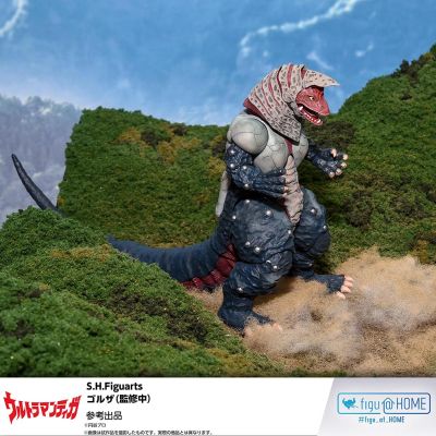 S.H.Figuarts  哥尔赞