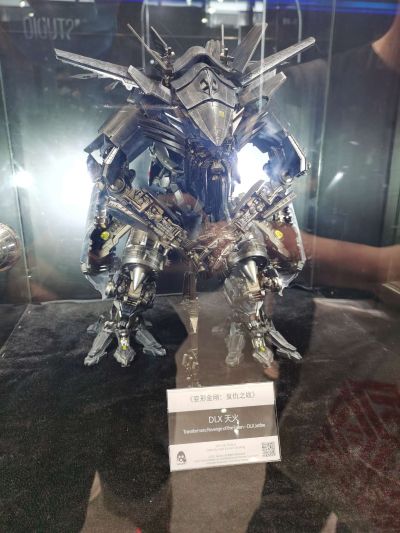 3Z0166 DLX比例收藏级系列 变形金刚2 天火