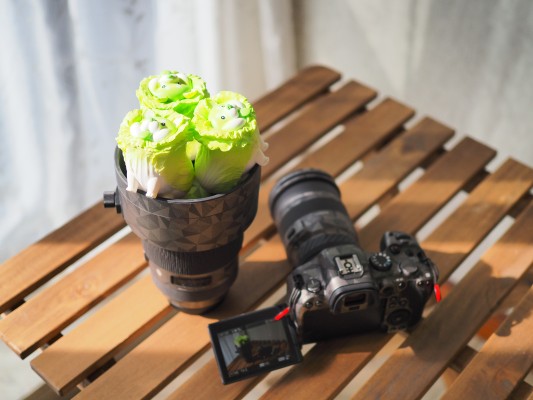 蔬菜精灵系列 盲盒