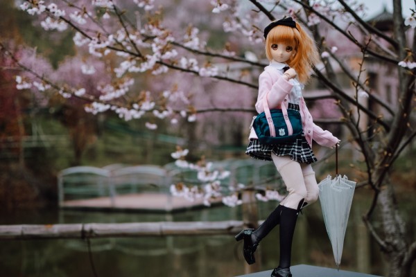 Dollfie Dream Dynamite DDdy 美子