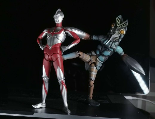 S.H.Figuarts   达达