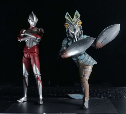 S.H.Figuarts   达达