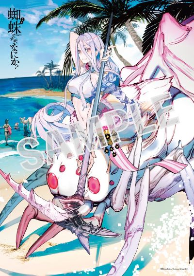 KDcolle 转生成蜘蛛又怎样 原作版 白织