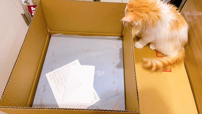 10月31日的魔女 Miss Orangette